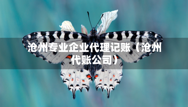 滄州專業(yè)企業(yè)代理記賬（滄州代賬公司）