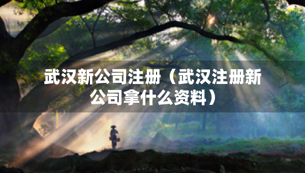 武漢新公司注冊（武漢注冊新公司拿什么資料）