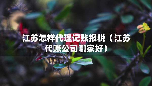 江蘇怎樣代理記賬報稅（江蘇代賬公司哪家好）