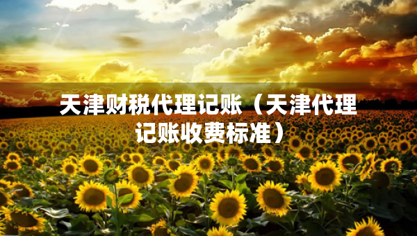 天津財(cái)稅代理記賬（天津代理記賬收費(fèi)標(biāo)準(zhǔn)）