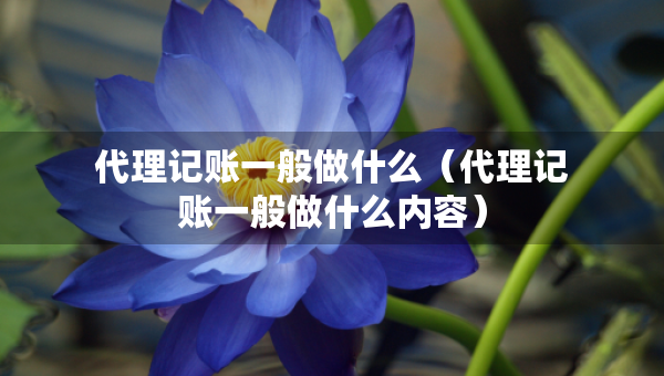 代理記賬一般做什么（代理記賬一般做什么內(nèi)容）