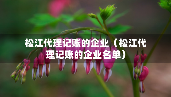 松江代理記賬的企業(yè)（松江代理記賬的企業(yè)名單）