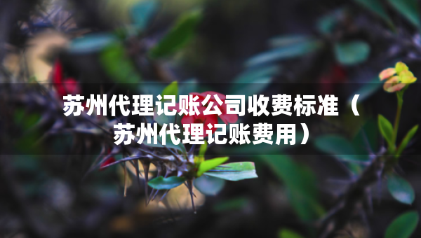 蘇州代理記賬公司收費(fèi)標(biāo)準(zhǔn)（蘇州代理記賬費(fèi)用）