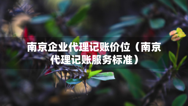 南京企業(yè)代理記賬價(jià)位（南京代理記賬服務(wù)標(biāo)準(zhǔn)）