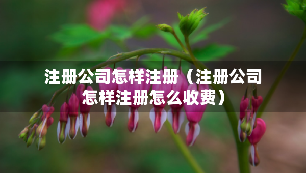 注冊公司怎樣注冊（注冊公司怎樣注冊怎么收費）