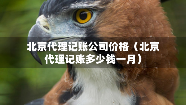 北京代理記賬公司價(jià)格（北京代理記賬多少錢一月）