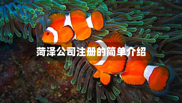 菏澤公司注冊(cè)的簡(jiǎn)單介紹