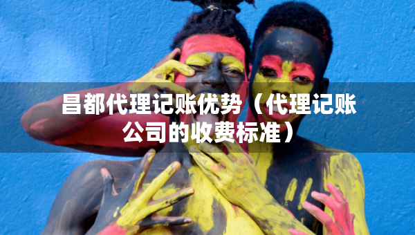 昌都代理記賬優(yōu)勢（代理記賬公司的收費標準）
