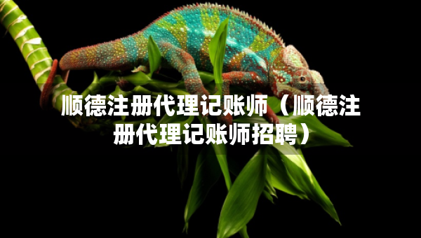 順德注冊(cè)代理記賬師（順德注冊(cè)代理記賬師招聘）