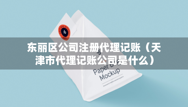 東麗區(qū)公司注冊代理記賬（天津市代理記賬公司是什么）