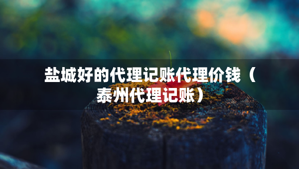 鹽城好的代理記賬代理價錢（泰州代理記賬）