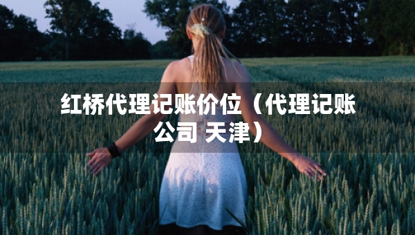 紅橋代理記賬價位（代理記賬公司 天津）