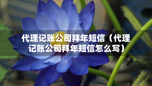代理記賬公司拜年短信（代理記賬公司拜年短信怎么寫）