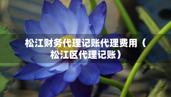 松江財(cái)務(wù)代理記賬代理費(fèi)用（松江區(qū)代理記賬）