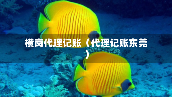 橫崗代理記賬（代理記賬東莞）