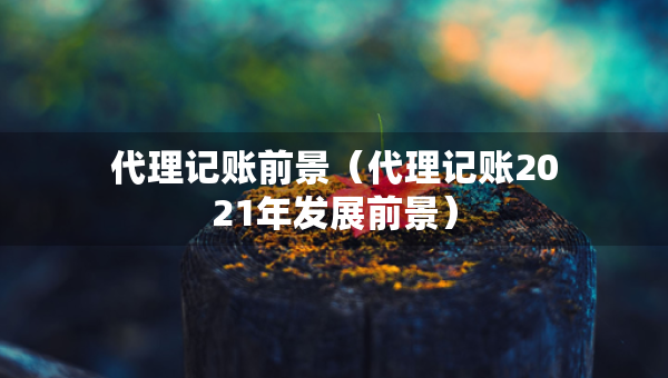 代理記賬前景（代理記賬2021年發(fā)展前景）