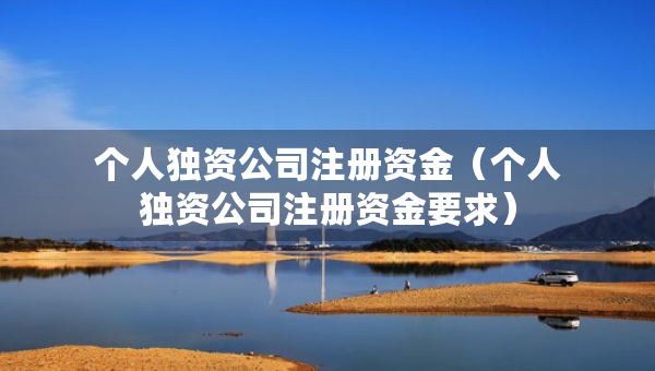 個(gè)人獨(dú)資公司注冊(cè)資金（個(gè)人獨(dú)資公司注冊(cè)資金要求）