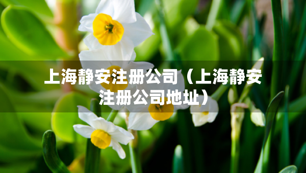 上海靜安注冊公司（上海靜安注冊公司地址）