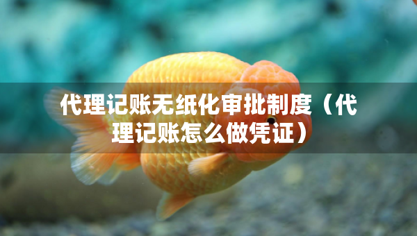 代理記賬無紙化審批制度（代理記賬怎么做憑證）