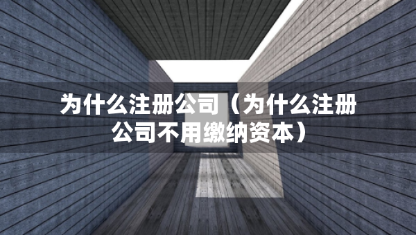 為什么注冊公司（為什么注冊公司不用繳納資本）