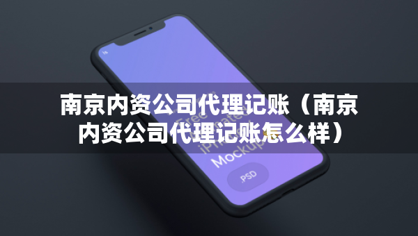 南京內(nèi)資公司代理記賬（南京內(nèi)資公司代理記賬怎么樣）