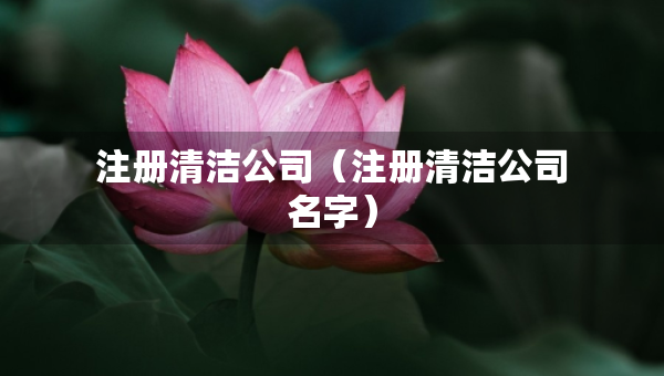 注冊清潔公司（注冊清潔公司名字）