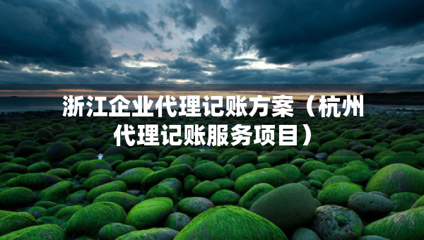 浙江企業(yè)代理記賬方案（杭州代理記賬服務(wù)項(xiàng)目）