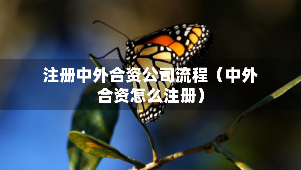 注冊中外合資公司流程（中外合資怎么注冊）