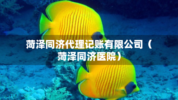 菏澤同濟(jì)代理記賬有限公司（菏澤同濟(jì)醫(yī)院）