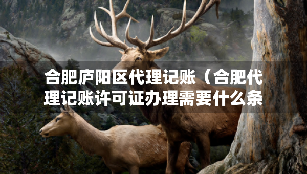 合肥廬陽區(qū)代理記賬（合肥代理記賬許可證辦理需要什么條件）