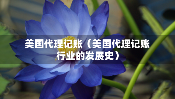 美國(guó)代理記賬（美國(guó)代理記賬行業(yè)的發(fā)展史）