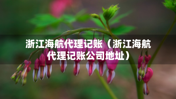 浙江海航代理記賬（浙江海航代理記賬公司地址）