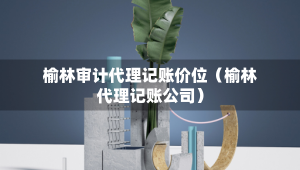 榆林審計代理記賬價位（榆林代理記賬公司）