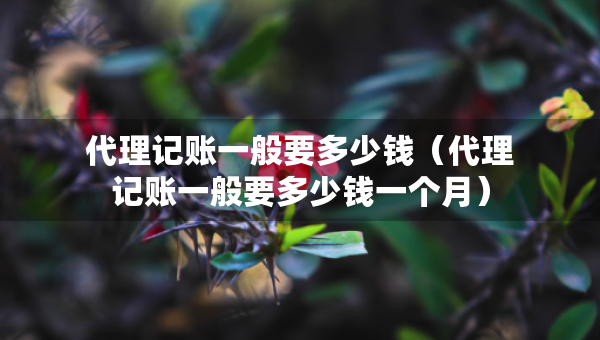 代理記賬一般要多少錢(qián)（代理記賬一般要多少錢(qián)一個(gè)月）