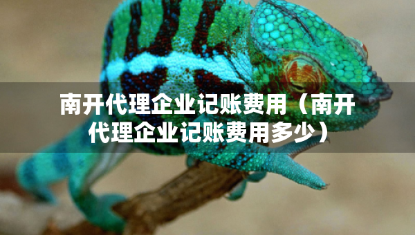 南開代理企業(yè)記賬費用（南開代理企業(yè)記賬費用多少）