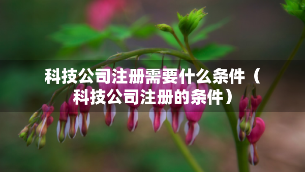 科技公司注冊需要什么條件（科技公司注冊的條件）