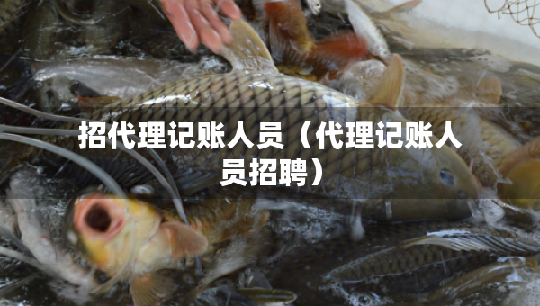 招代理記賬人員（代理記賬人員招聘）
