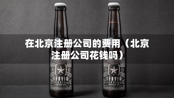在北京注冊(cè)公司的費(fèi)用（北京注冊(cè)公司花錢(qián)嗎）