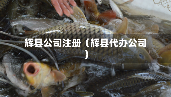 輝縣公司注冊（輝縣代辦公司）