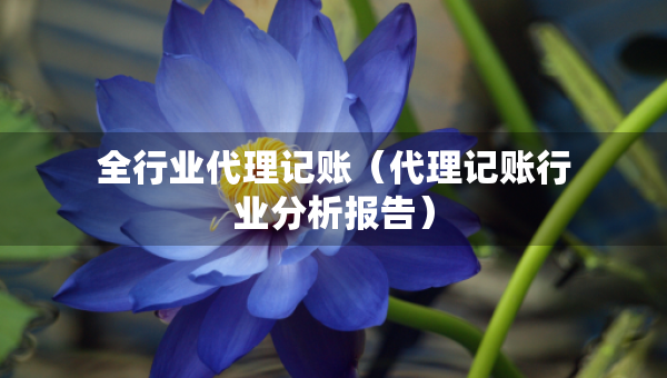 全行業(yè)代理記賬（代理記賬行業(yè)分析報(bào)告）
