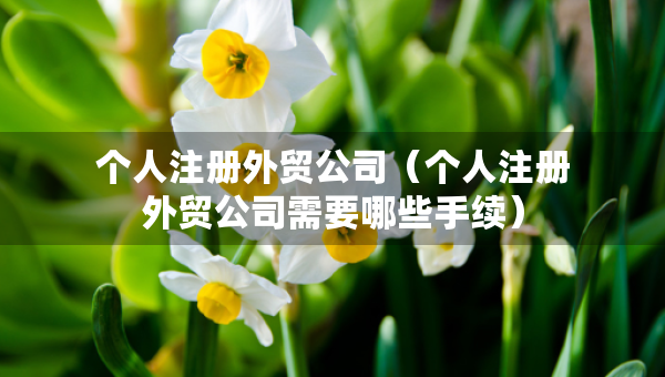 個人注冊外貿(mào)公司（個人注冊外貿(mào)公司需要哪些手續(xù)）