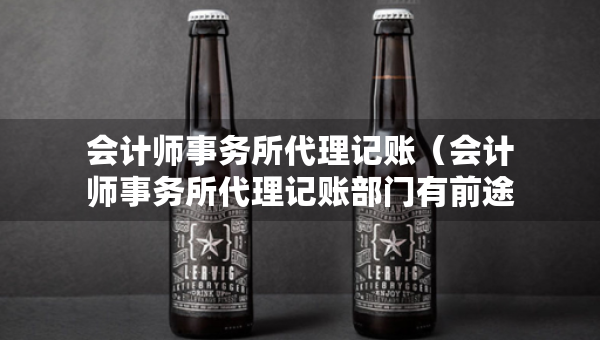 會(huì)計(jì)師事務(wù)所代理記賬（會(huì)計(jì)師事務(wù)所代理記賬部門有前途嗎）