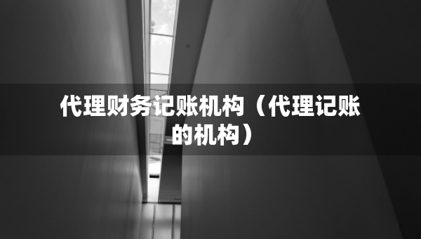 代理財務(wù)記賬機(jī)構(gòu)（代理記賬的機(jī)構(gòu)）