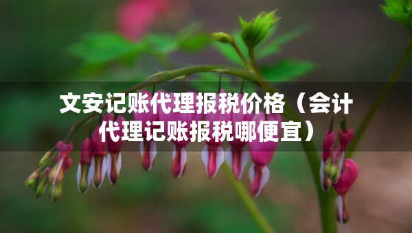 文安記賬代理報稅價格（會計代理記賬報稅哪便宜）