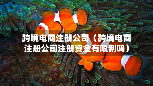 跨境電商注冊公司（跨境電商注冊公司注冊資金有限制嗎）