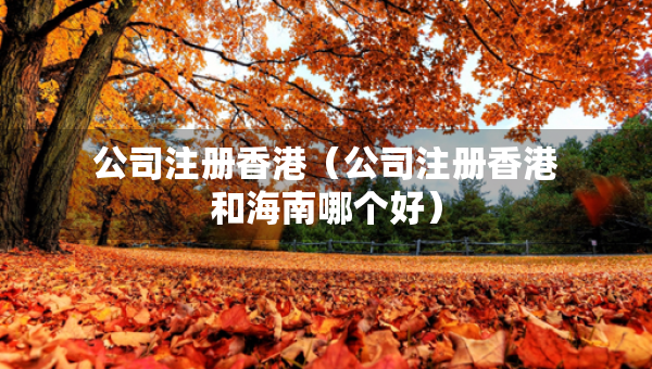 公司注冊(cè)香港（公司注冊(cè)香港和海南哪個(gè)好）