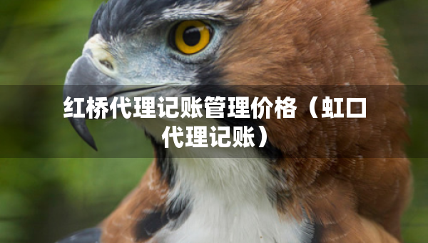 紅橋代理記賬管理價(jià)格（虹口代理記賬）