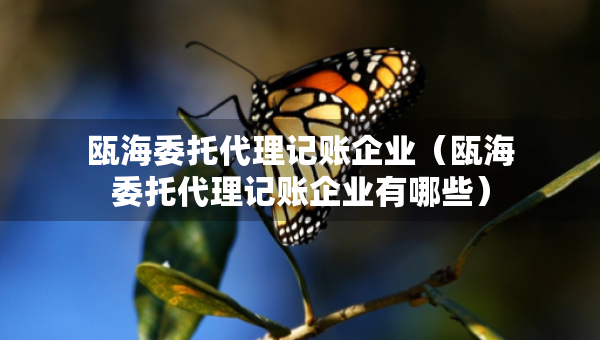 甌海委托代理記賬企業(yè)（甌海委托代理記賬企業(yè)有哪些）