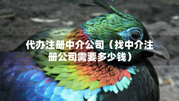 代辦注冊中介公司（找中介注冊公司需要多少錢）