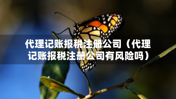 代理記賬報稅注冊公司（代理記賬報稅注冊公司有風險嗎）